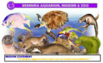 Bermuda Aquarium, Museum, and Zoo