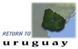 Return to Uruguay
